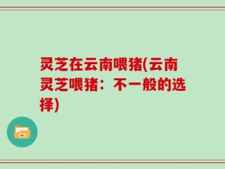 灵芝在云南喂猪(云南灵芝喂猪：不一般的选择)