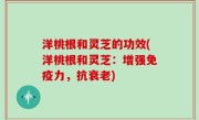洋桃根和灵芝的功效(洋桃根和灵芝：增强免疫力，抗衰老)
