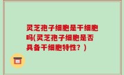 灵芝孢子细胞是干细胞吗(灵芝孢子细胞是否具备干细胞特性？)
