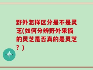 野外怎样区分是不是灵芝(如何分辨野外采摘的灵芝是否真的是灵芝？)