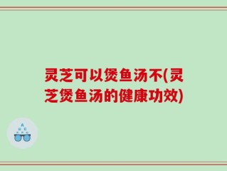 灵芝可以煲鱼汤不(灵芝煲鱼汤的健康功效)