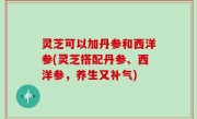 灵芝可以加丹参和西洋参(灵芝搭配丹参、西洋参，养生又补气)