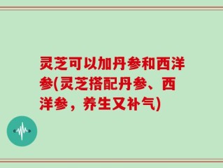 灵芝可以加丹参和西洋参(灵芝搭配丹参、西洋参，养生又补气)