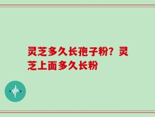 灵芝多久长孢子粉？灵芝上面多久长粉