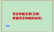 灵芝种植王燕(王燕：掌握灵芝种植的秘诀)