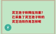 灵芝孢子粉降压效果？已采集了灵芝孢子粉的灵芝功效作用怎样呢
