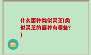 什么菌种类似灵芝(类似灵芝的菌种有哪些？)