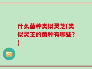 什么菌种类似灵芝(类似灵芝的菌种有哪些？)