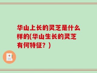 华山上长的灵芝是什么样的(华山生长的灵芝有何特征？)