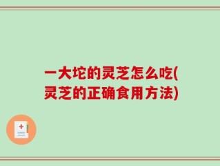一大坨的灵芝怎么吃(灵芝的正确食用方法)