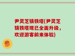 尹灵芝镇铁塔(尹灵芝镇铁塔现已全面升级，欢迎游客前来体验)