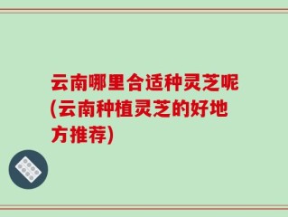 云南哪里合适种灵芝呢(云南种植灵芝的好地方推荐)