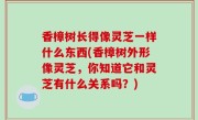 香樟树长得像灵芝一样什么东西(香樟树外形像灵芝，你知道它和灵芝有什么关系吗？)