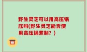 野生灵芝可以用高压锅压吗(野生灵芝能否使用高压锅煮制？)