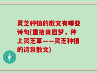 灵芝种植的散文有哪些诗句(重拾田园梦，种上灵芝草——灵芝种植的诗意散文)