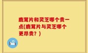 鹿茸片和灵芝哪个贵一点(鹿茸片与灵芝哪个更昂贵？)