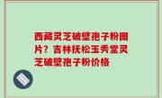 西藏灵芝破壁孢子粉图片？吉林抚松玉秀堂灵芝破壁孢子粉价格