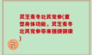 灵芝麦冬北芪党参(重塑身体功能，灵芝麦冬北芪党参带来强健健康)