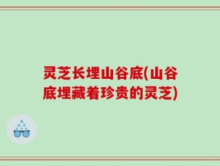灵芝长埋山谷底(山谷底埋藏着珍贵的灵芝)