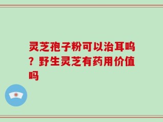灵芝孢子粉可以治耳呜？野生灵芝有药用价值吗