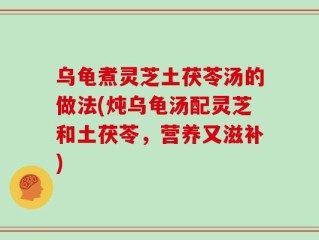 乌龟煮灵芝土茯苓汤的做法(炖乌龟汤配灵芝和土茯苓，营养又滋补)