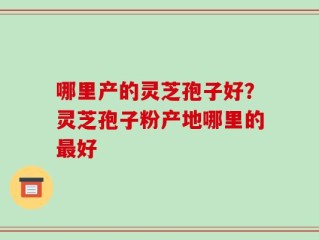 哪里产的灵芝孢子好？灵芝孢子粉产地哪里的最好