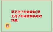 灵芝孢子粉破壁前(灵芝孢子粉破壁提高吸收效果)