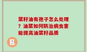 菜籽油有孢子怎么处理？油菜如何防治病虫害能提高油菜籽品质