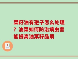 菜籽油有孢子怎么处理？油菜如何防治病虫害能提高油菜籽品质