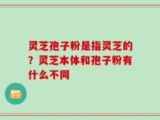 灵芝孢子粉是指灵芝的？灵芝本体和孢子粉有什么不同