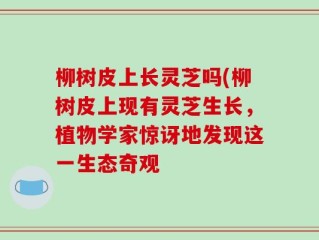 柳树皮上长灵芝吗(柳树皮上现有灵芝生长，植物学家惊讶地发现这一生态奇观