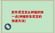 野外灵芝怎么种值的快一点(种植野生灵芝的快速方法)