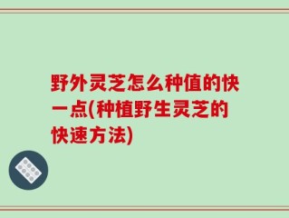 野外灵芝怎么种值的快一点(种植野生灵芝的快速方法)