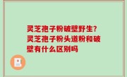 灵芝孢子粉破壁野生？灵芝孢子粉头道粉和破壁有什么区别吗