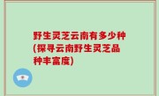 野生灵芝云南有多少种(探寻云南野生灵芝品种丰富度)