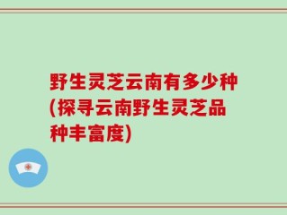 野生灵芝云南有多少种(探寻云南野生灵芝品种丰富度)