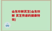 山东珍鲜灵芝(山东珍鲜 灵芝传递的健康特效)