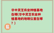 华中灵芝农业种植基地在哪(华中灵芝农业种植基地的地理位置在哪？)