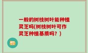 一般的树枝树叶能种植灵芝吗(树枝树叶可作灵芝种植基质吗？)