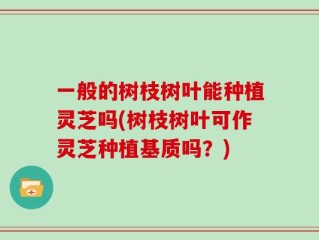 一般的树枝树叶能种植灵芝吗(树枝树叶可作灵芝种植基质吗？)