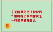 雲芝牌灵芝孢子粉价钱？桃树桩上长的像灵芝一样的东西是什么
