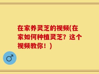 在家养灵芝的视频(在家如何种植灵芝？这个视频教你！)
