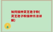 如何接种灵芝孢子粉(灵芝孢子粉接种方法详解)