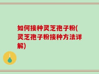 如何接种灵芝孢子粉(灵芝孢子粉接种方法详解)