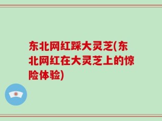 东北网红踩大灵芝(东北网红在大灵芝上的惊险体验)