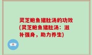 灵芝鲍鱼猪肚汤的功效(灵芝鲍鱼猪肚汤：滋补强身，助力养生)