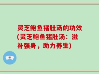 灵芝鲍鱼猪肚汤的功效(灵芝鲍鱼猪肚汤：滋补强身，助力养生)