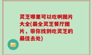 灵芝哪里可以吃啊图片大全(最全灵芝餐厅图片，带你找到吃灵芝的最佳去处)