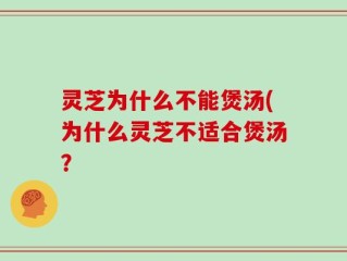 灵芝为什么不能煲汤(为什么灵芝不适合煲汤？