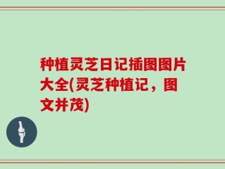 种植灵芝日记插图图片大全(灵芝种植记，图文并茂)